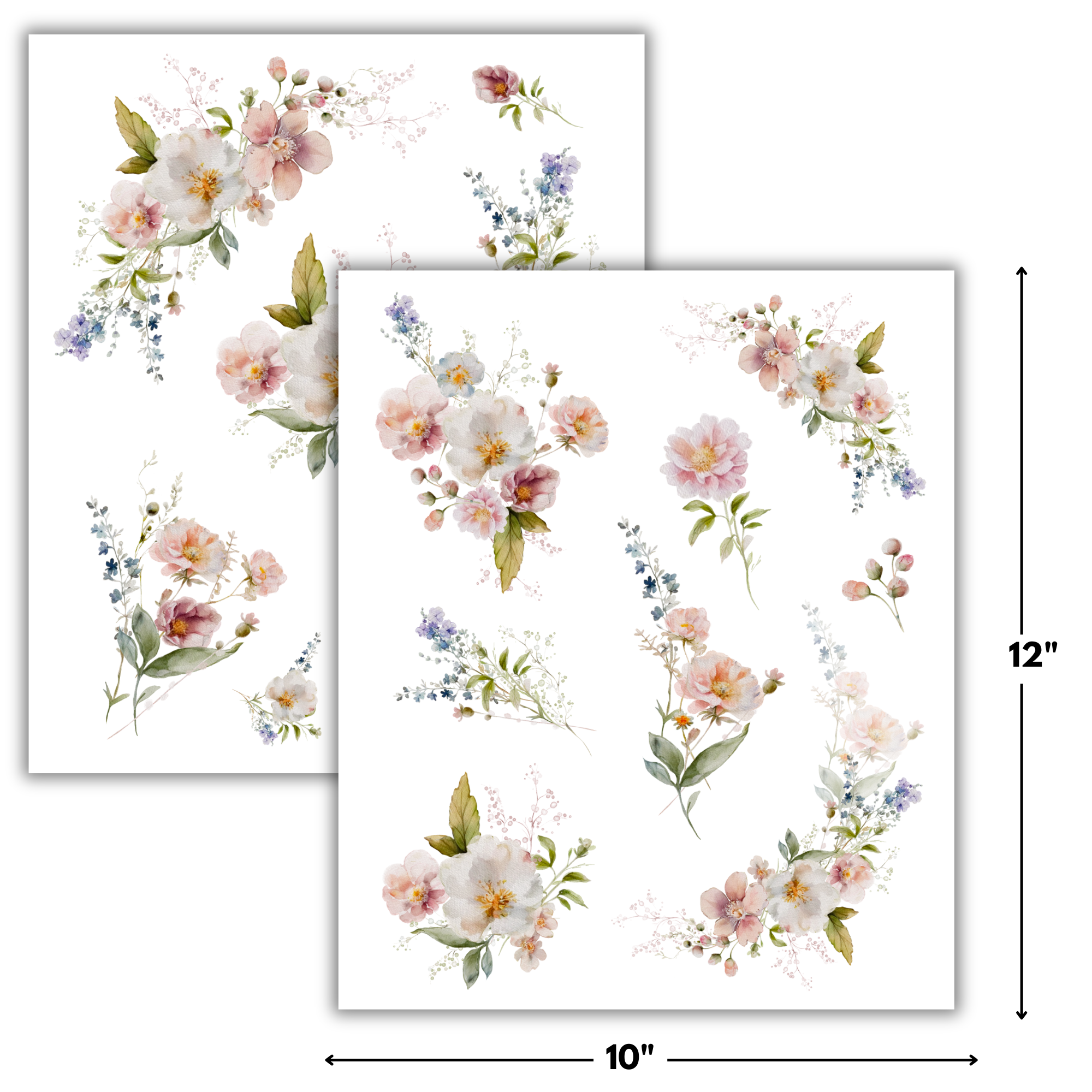 Wild Florals Rub-on Transfers - 10x12" Sheets (Club Exclusive)