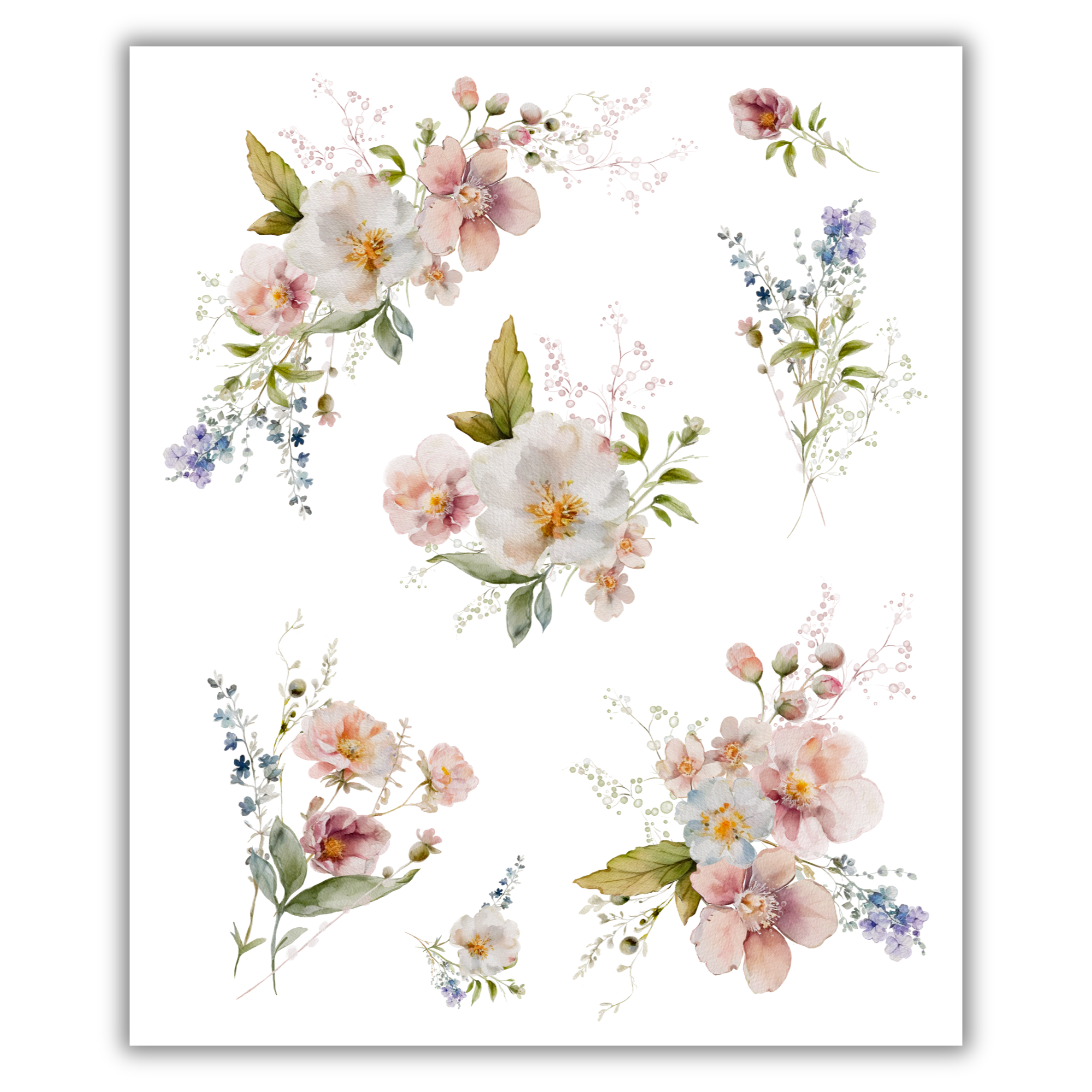 Wild Florals Rub-on Transfers - 10x12" Sheets (Club Exclusive)