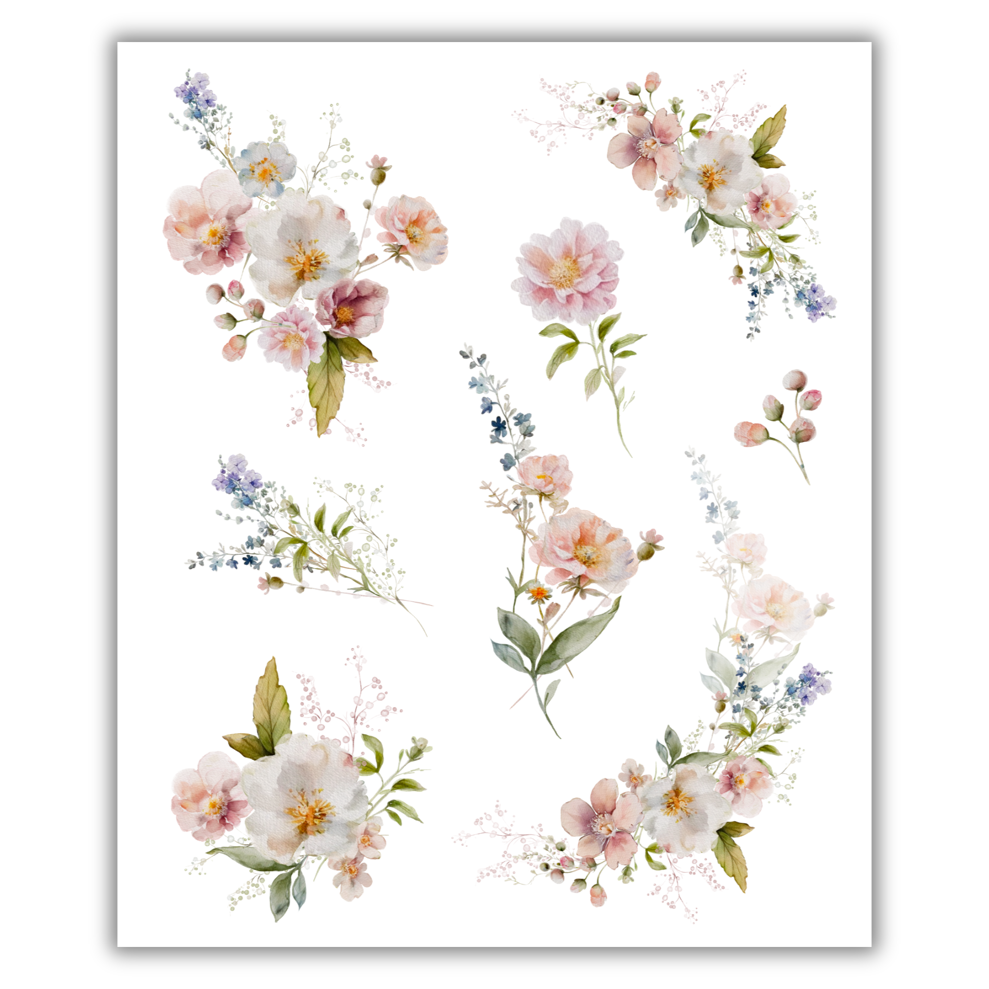Wild Florals Rub-on Transfers - 10x12" Sheets (Club Exclusive)