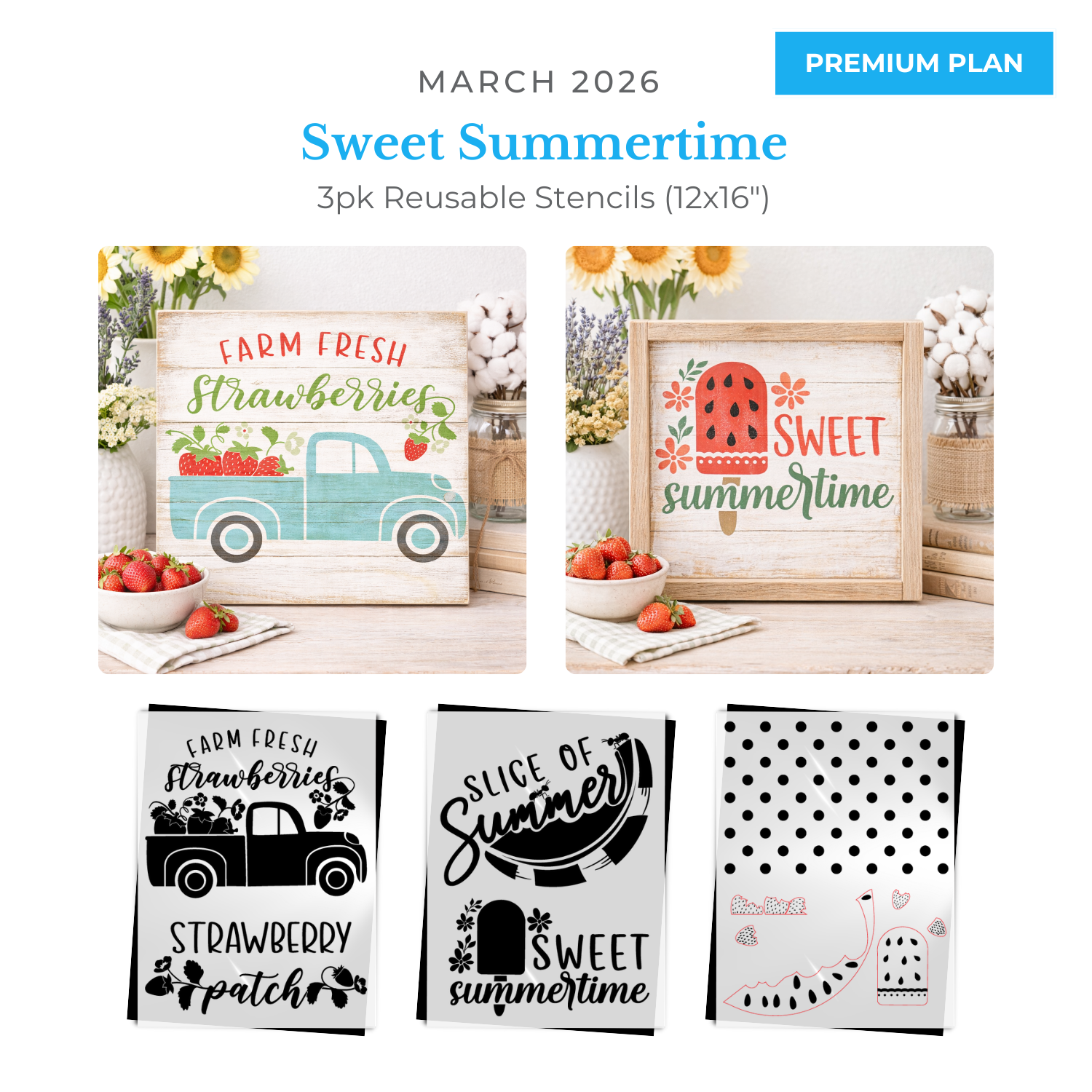 March 2026: Sweet Summertime 12"x16" 3pk