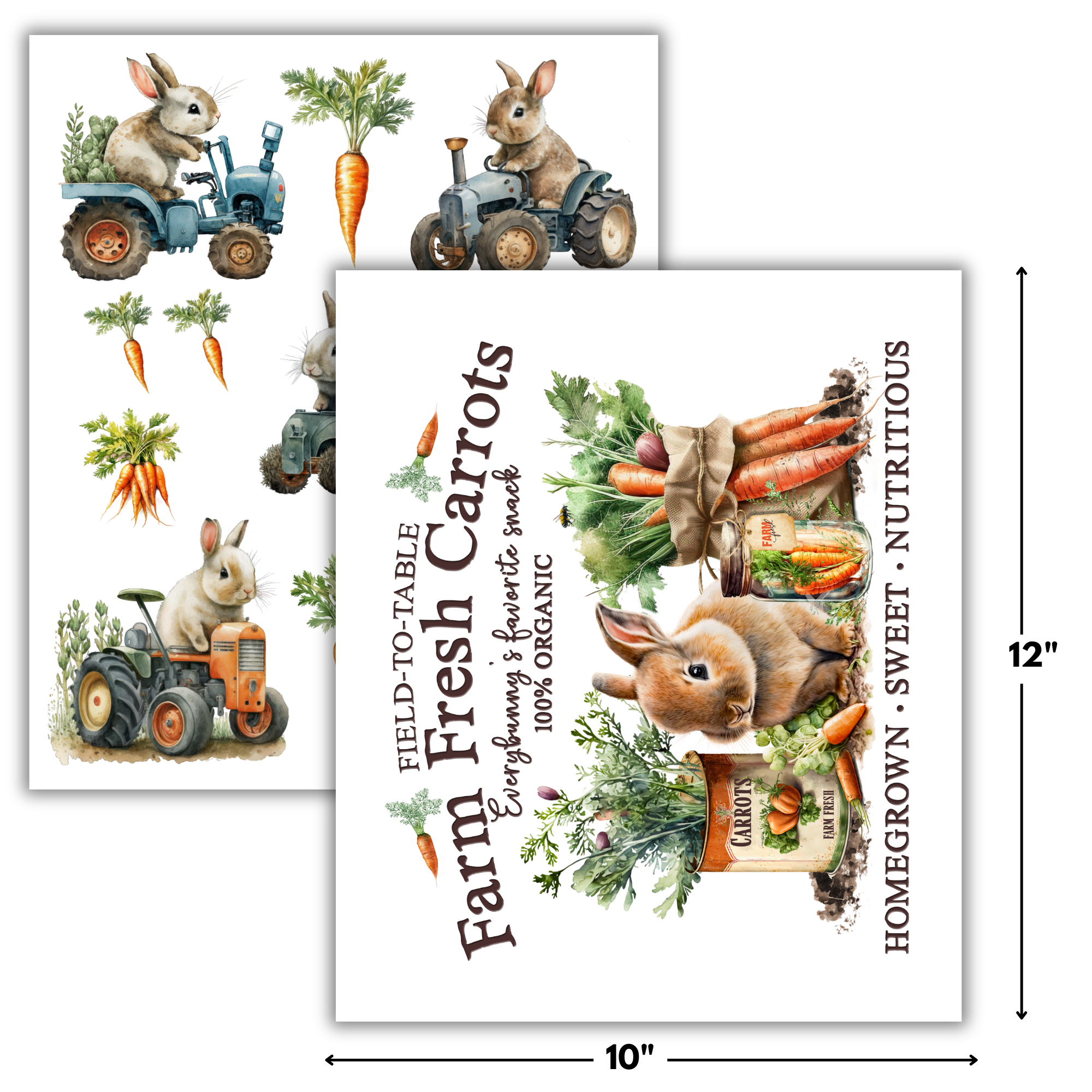 Farmer Bunny Rub-on Transfers - 10x12" Sheets (Club Exclusive)