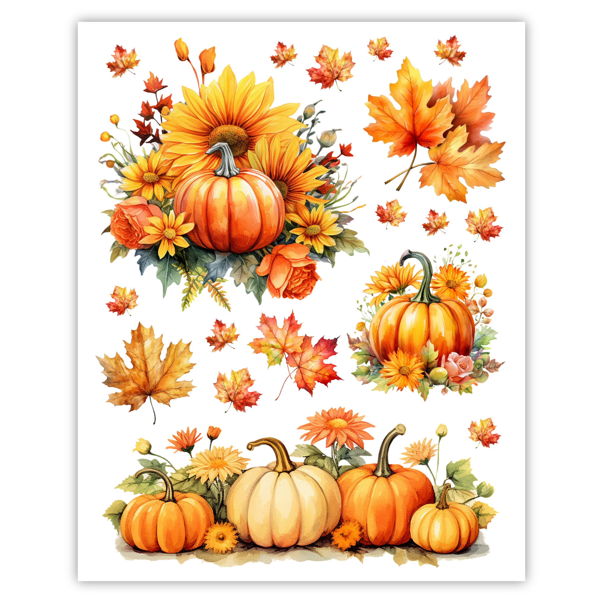 Autumn Pumpkins & Fall Leaves Rub-on Transfers - 8x10" Sheets (Club Exclusive)