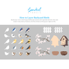 September 2025: Backyard Birds 12"x16" 3pk