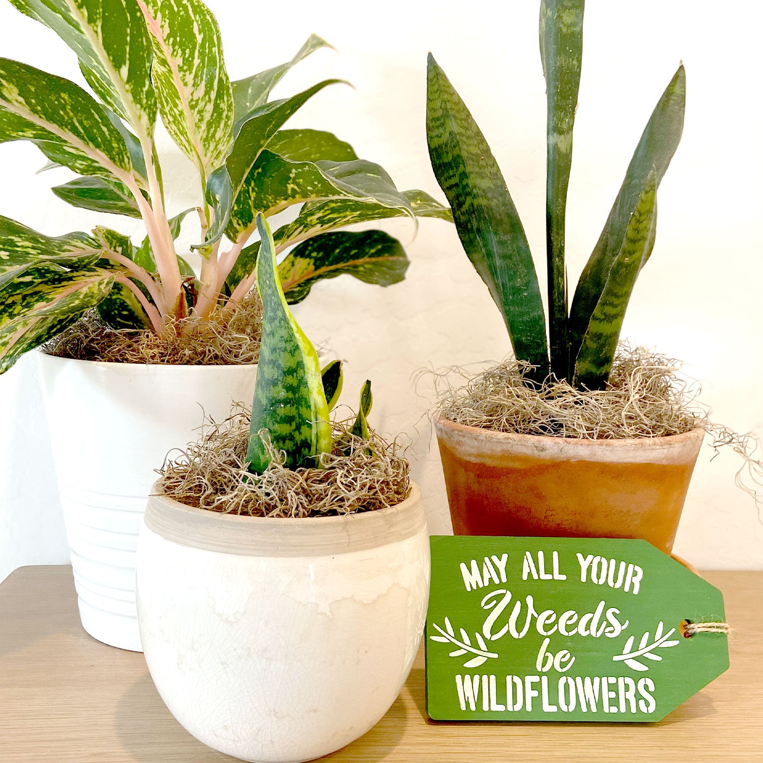 The Garden is calling stencil (Club Exclusive)