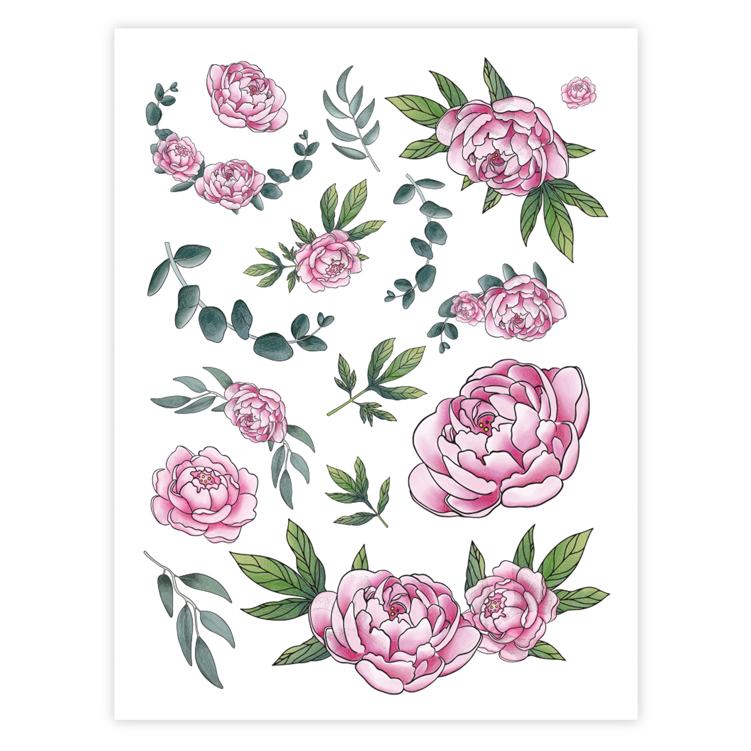 SOTMC - Pink Peonies Rub-on Transfer (2 pack)